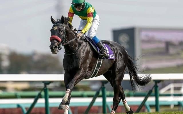 【阪神SJ予想オッズ】エコロデュエルが予想1番人気