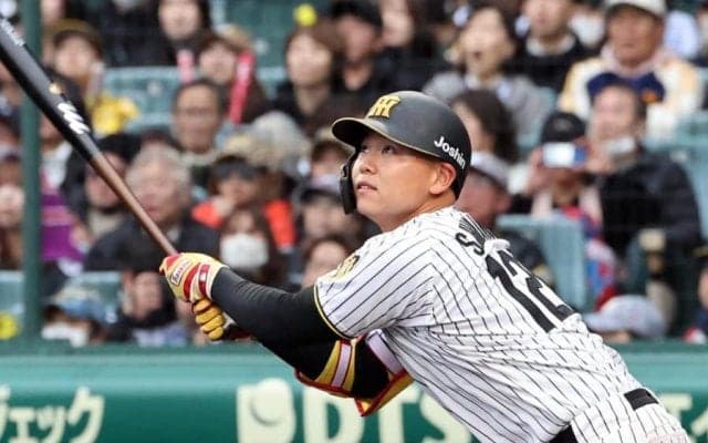 阪神、嶋村麟士朗を支配下登録「ここからがスタート」　OP戦打率.545…背番号「85」