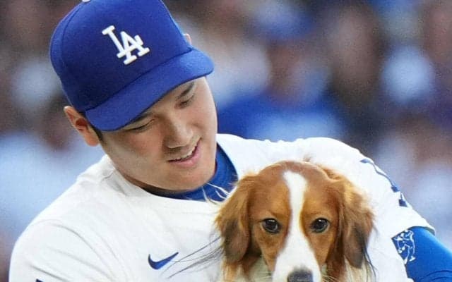 【WBC】デコピンと東京タワー…大谷翔平が大都会の愛犬ショット公開「日本に来てたんですね」