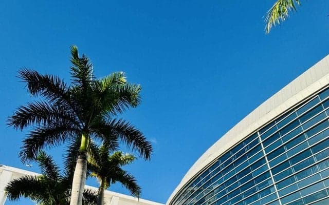 【WBC】決戦の地マイアミで50人に聞いた、優勝候補の筆頭は果たして…