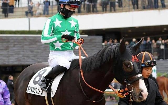 【スプリングS】「タイキ軍団」が18年ぶりのJRA重賞制覇へ タイキルッジェーロが一発狙う