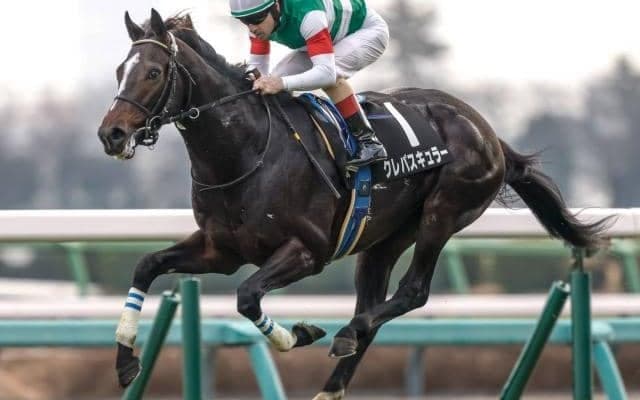 【スプリングS出走馬・騎手確定】クレパスキュラー＆C.ルメール騎手、アスクエジンバラ＆岩田康誠騎手など16頭