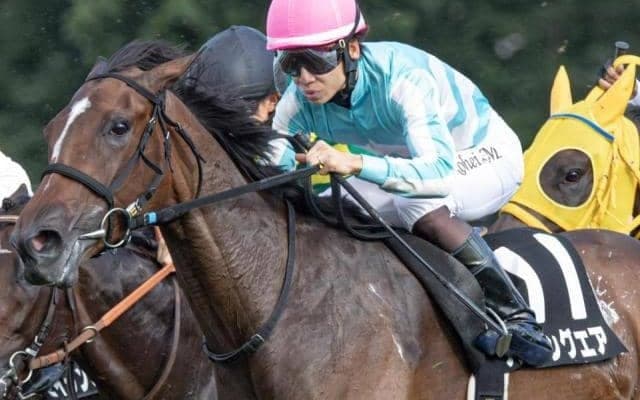 全姉は三冠牝馬のデアリングタクト デアリングエアが待望の2勝目なるか