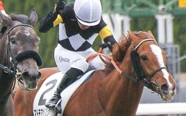 母は名牝ストレイトガール マドモアゼルアスクがM.ディー騎手と2勝目狙う