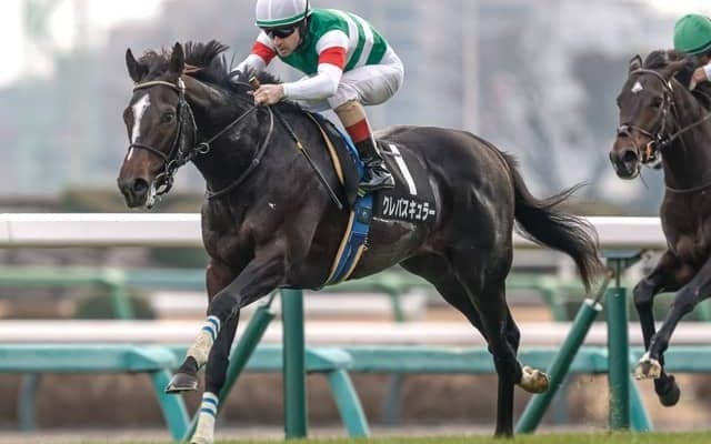 【スプリングS枠順確定】クレパスキュラーは6枠12番、アスクエジンバラは1枠2番