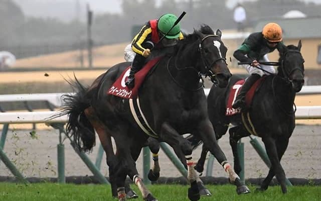 【金鯱賞枠順確定】クイーンズウォークは7枠12番、ジョバンニは3枠3番