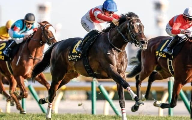 【阪神大賞典想定馬・騎手】ダノンシーマ、アドマイヤテラなど11頭