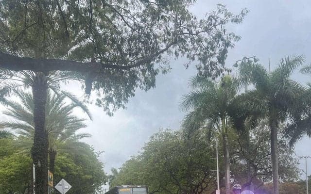 【WBC】侍ジャパンが翌日のベネズエラ戦へ向け練習、決戦に備える　先発は山本由伸の予定