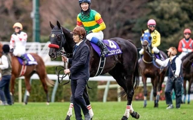 【今日の注目ポイント】阪神SJと桜花賞TRアネモネS