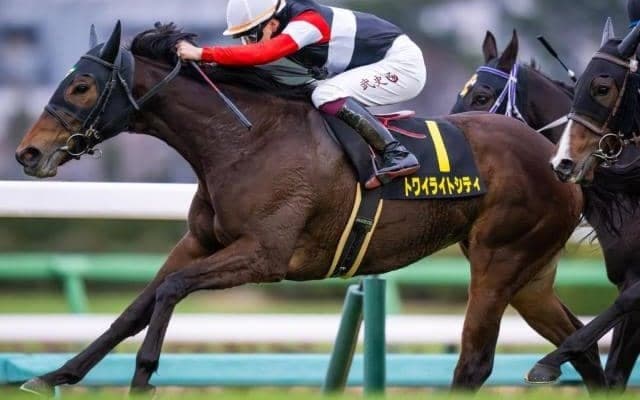 アネモネSは「3番人気」「キングマンボ系」に注目