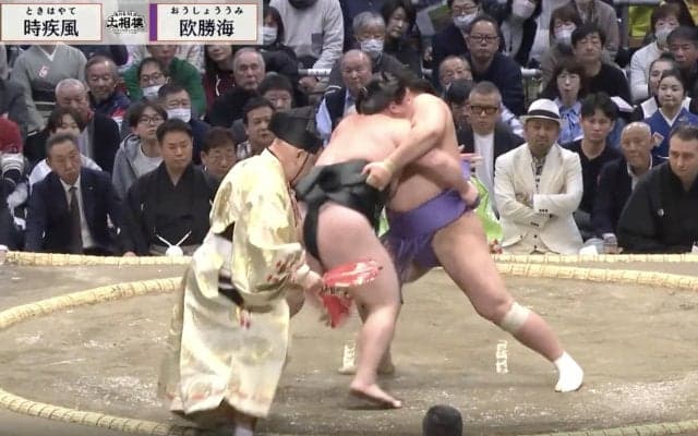 「行司さんあぶない」力士とあわや接触で慌てて後退り 「位置が」「大丈夫か」ファン騒然