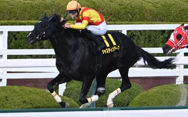 【コーラルS結果】2番人気ジャスティンアースがオープン初勝利