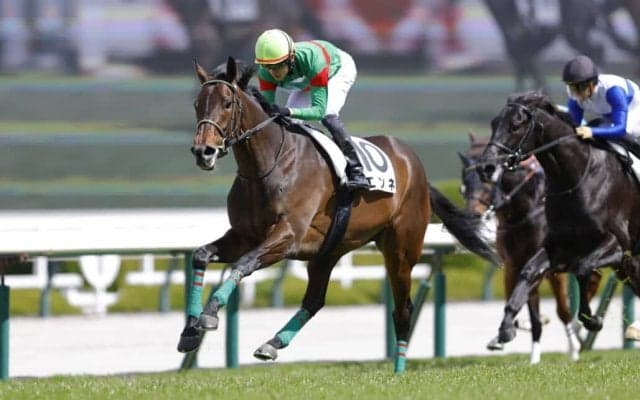 【阪神5R】良血エンネの直線一気炸裂…半兄にはファントムシーフ