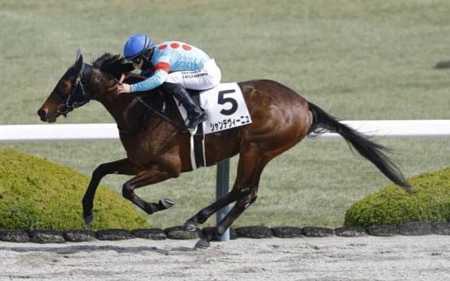 柴田卓調教師が初勝利