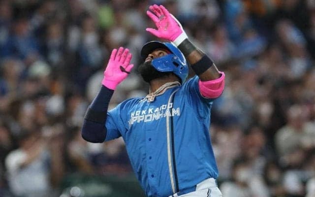 日本ハムが大勝　ＯＰ戦単独首位キープ　レイエス先制、水谷満塁弾、矢沢ダメ押しソロで大勝　先発細野は六回途中１失点の好投