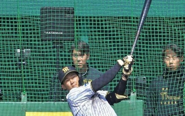 阪神・ドラ１立石　実戦デビュー秒読み　入団後初ライブＢＰで柵越え２発　フリー打撃は４９スイング１０発