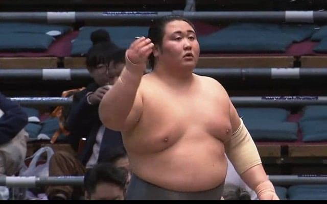 大相撲で“本人に激似”化粧まわし「こういうカラクリ人形ありそう」「再現度高すぎ」ファン騒然