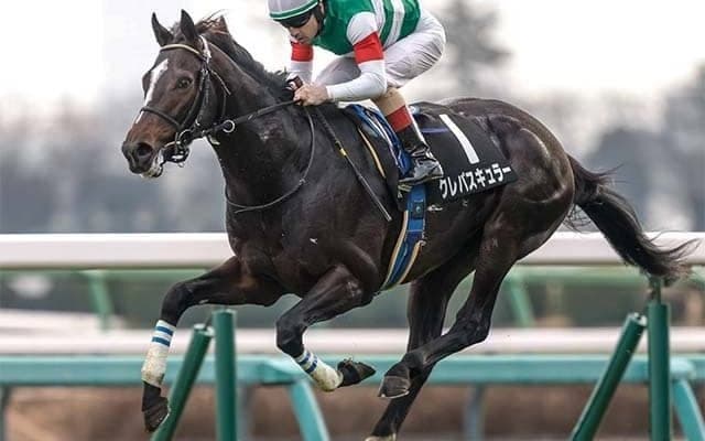 【スプリングS・馬体重】クレパスキュラーは486kg(+8)、アスクエジンバラは458kg(+2)