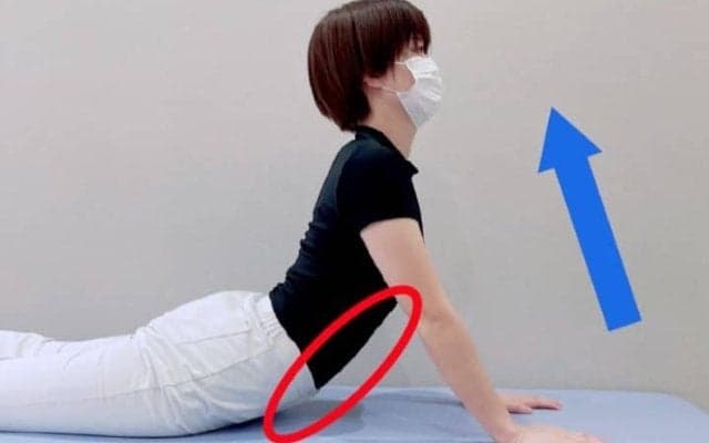 【医師に相談】前立腺炎（慢性前立腺炎）とはどのような病気ですか？