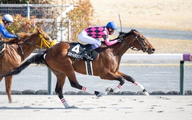 【昇竜S】武豊バースデーV…スマートジュリアスで抜け出す