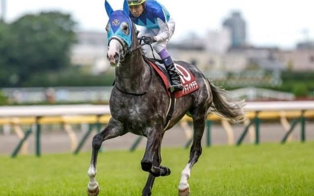 阪神大賞典、愛知杯など4重賞/今週の競馬界の見どころ
