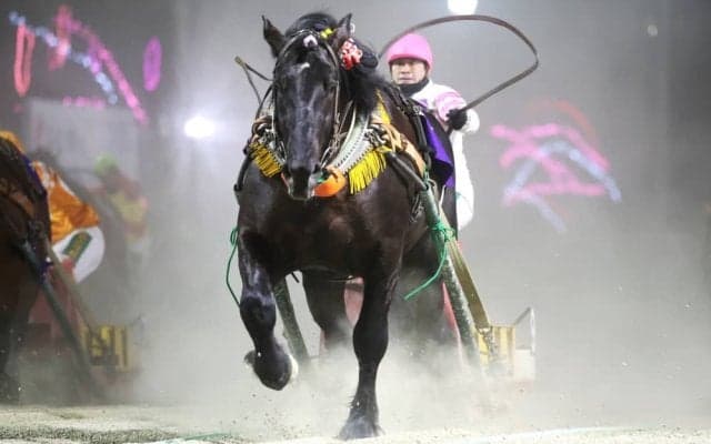 【ばんえい・イレネー記念】オレノコクオウが世代頂点！障害ひと腰から独走