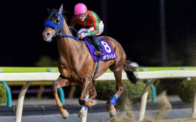 【水沢・駒形賞】8歳ボウトロイが圧巻の4馬身差V…91戦目で重賞初制覇