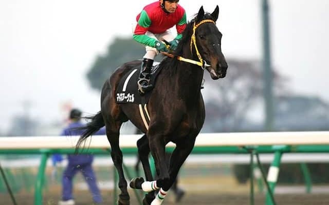 マイネルグロンなど9頭のJRA勝ち馬を輩出 マイネヌーヴェルの末脚光った03年フラワーC