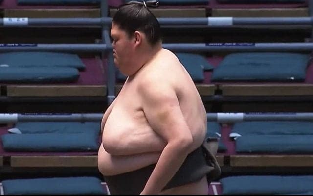 「脚ほそっ」152キロ長身巨漢力士、“ほっそり美脚”と不思議な体形のギャップにファン注目