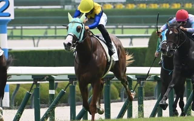 【ファルコンS見どころ】逃げ、差し自在のダイヤモンドノット