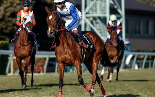 【フラワーC見どころ】レースセンスが光るアメティスタ