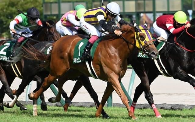 【愛知杯見どころ】実績ある芝で巻き返しを図るマピュース