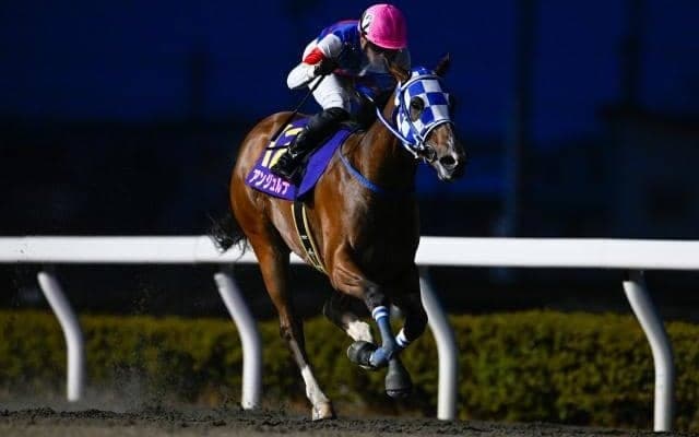 【浦和・桜花賞枠順】5連勝中のアンジュルナは4枠4番