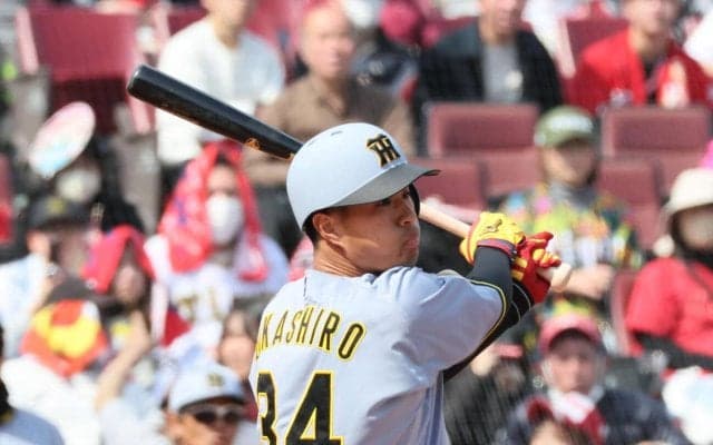 【阪神】ドラ３岡城快生「自分らしさを出して」主力選手合流も結果残して１軍生き残りに闘志