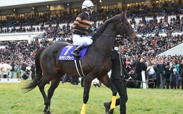 “連対率25%”の好相性馬も？ 3月・4月の中山芝で強い種牡馬とは