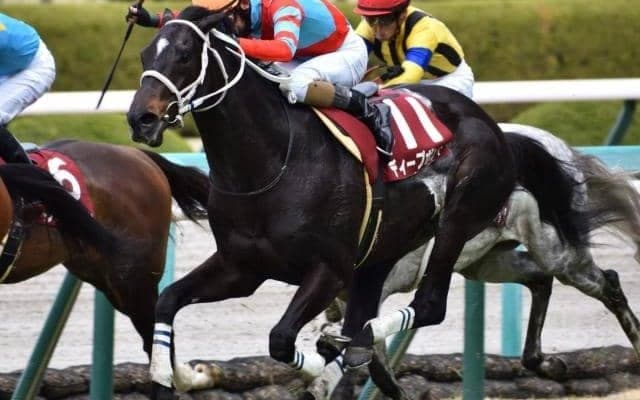 ディープボンド＆和田竜二騎手が連覇 21年22年の阪神大賞典を振り返る