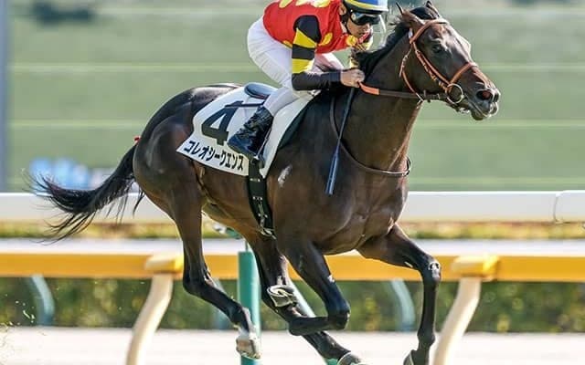 英ダービー登録のコレオシークエンスが若葉S参戦 今後を占う一戦に期待