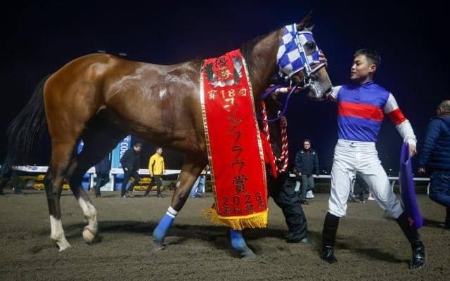 【浦和・桜花賞注目馬】ひと足早い桜の女王決定戦 南関東牝馬三冠の初戦を制すのは