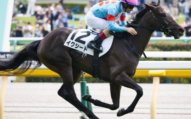 【フラワーC予想オッズ】イクシードが予想1番人気