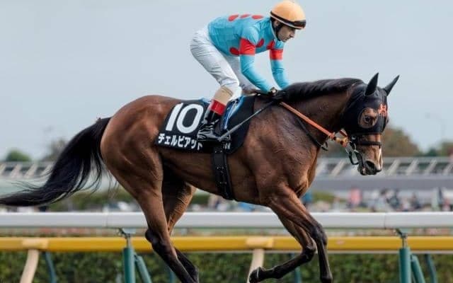 【愛知杯予想オッズ】チェルビアットが予想1番人気