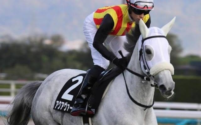 阪神大賞典史上初の牝馬Vなるか アクアヴァーナルが参戦