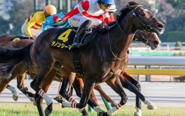 【阪神大賞典】セレクト3.1億円のダノンシーマ 史上最高価格のJRA重賞勝ち馬となるか