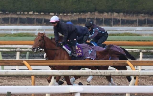 ダノンデサイル、大阪杯2週前追い切り速報/栗東トレセンニュース