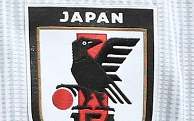 【日本代表】５・31「Ｗ杯壮行試合」の相手はアイスランド