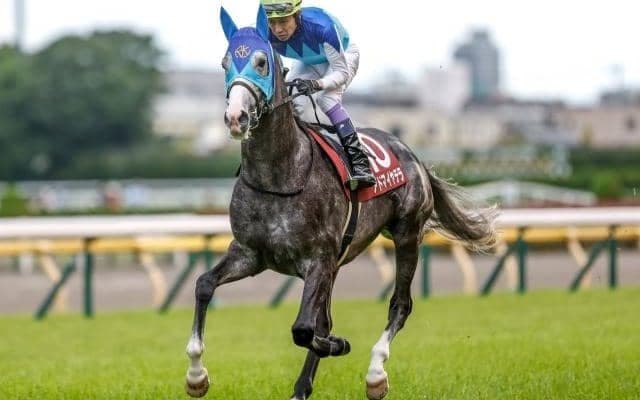 【阪神大賞典予想】伝統のステイヤー決戦を攻略 AIが導き出した盤石の軸馬候補とは？