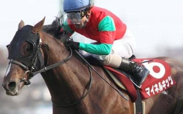 天皇賞(春)覇者マイネルキッツの復活 11か月ぶりVの10年日経賞を回想