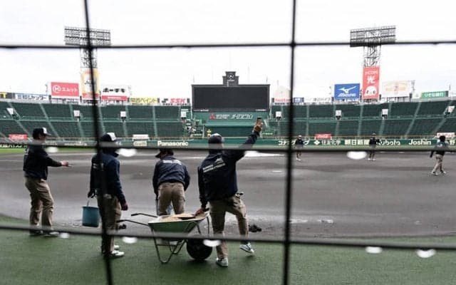 阪神園芸がセンバツ開会式前に早速「神整備」　予定通り開幕