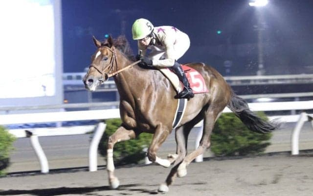 【高知・八畳岩特別】破竹の5連勝！スカンジナビアが格の違い見せV