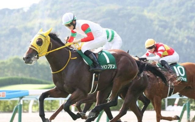 ロンドンプランが登録抹消、競走中のアクシデントで死亡