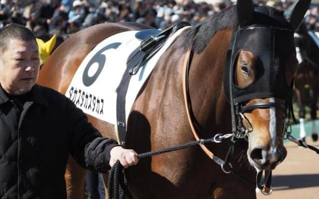 馬主は高須クリニックの高須克彌氏 タカスタカスタカスが2勝目なるか